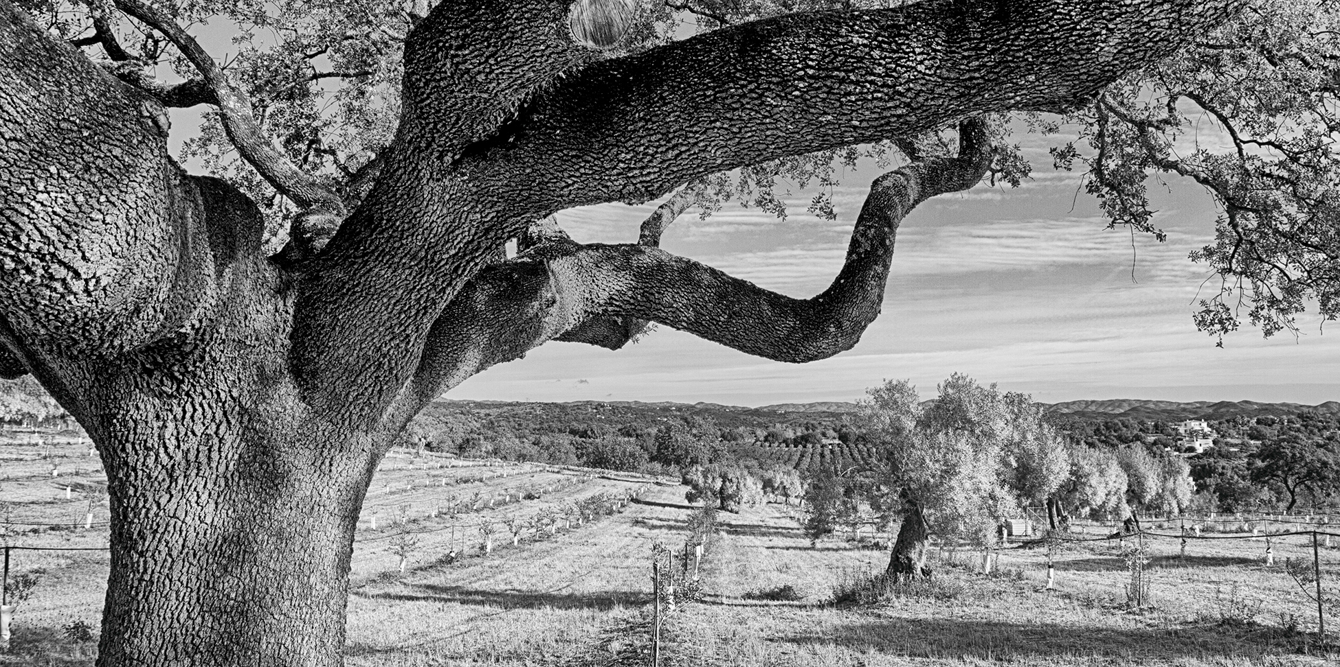 Quinta au Monte